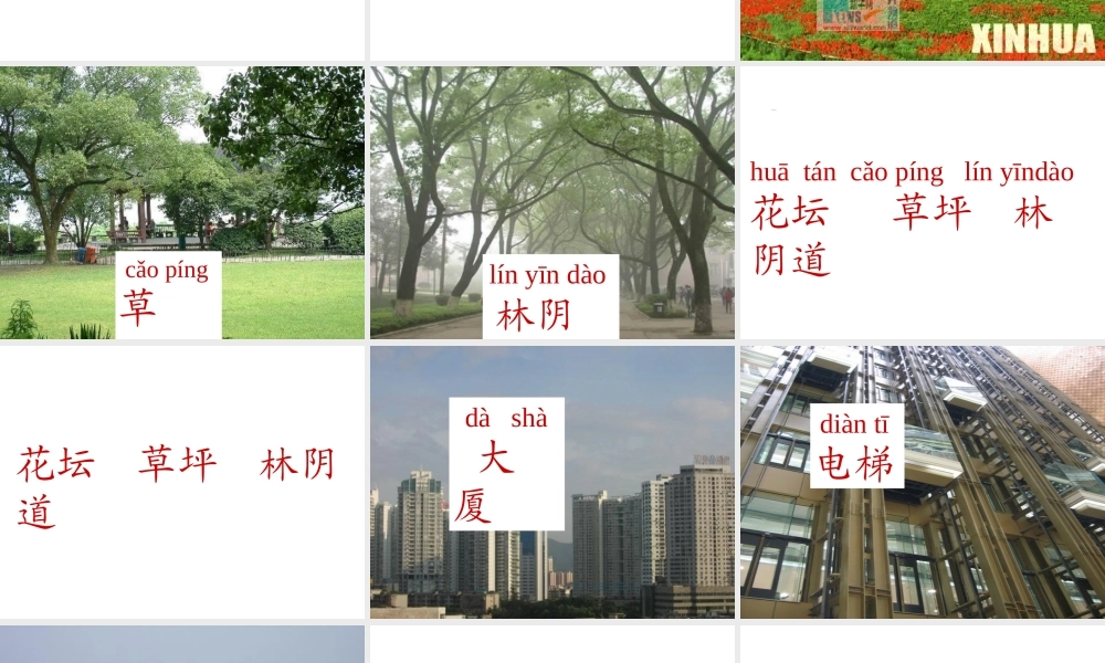 苏教版一年级语文上册识字6