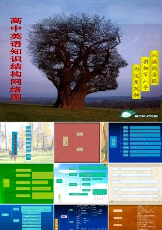 高中英语知识结构网络