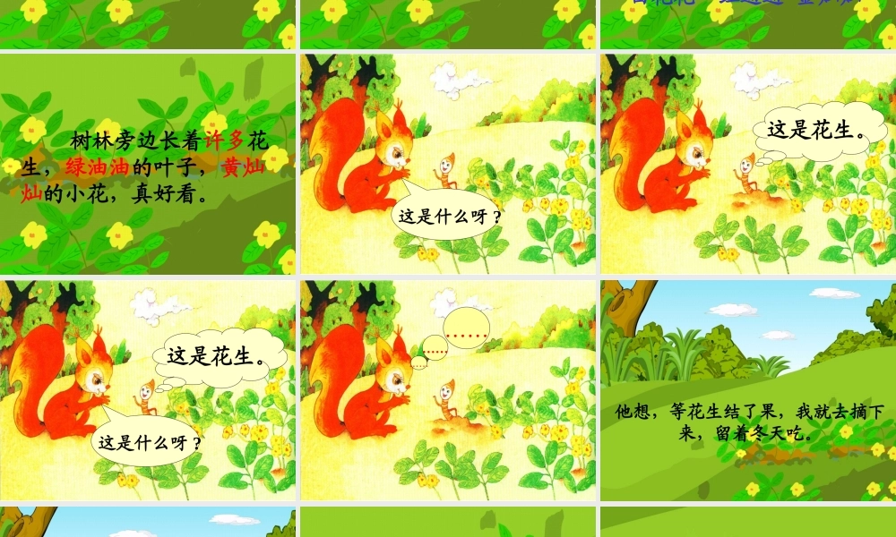 小松鼠找花生果(课件)