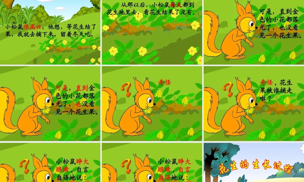 小松鼠找花生果(课件)