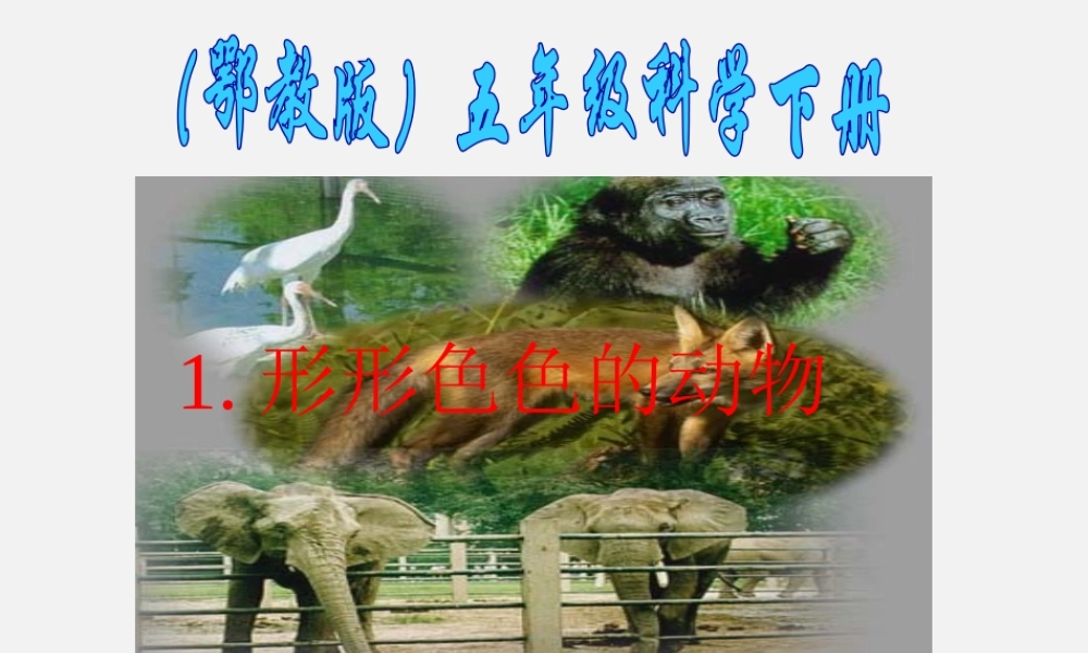 1形形色色的动物