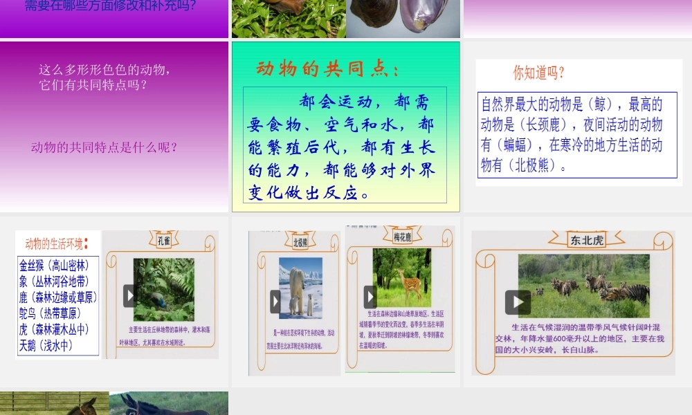 1形形色色的动物