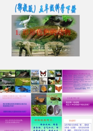 1形形色色的动物