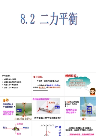 《二力平衡》