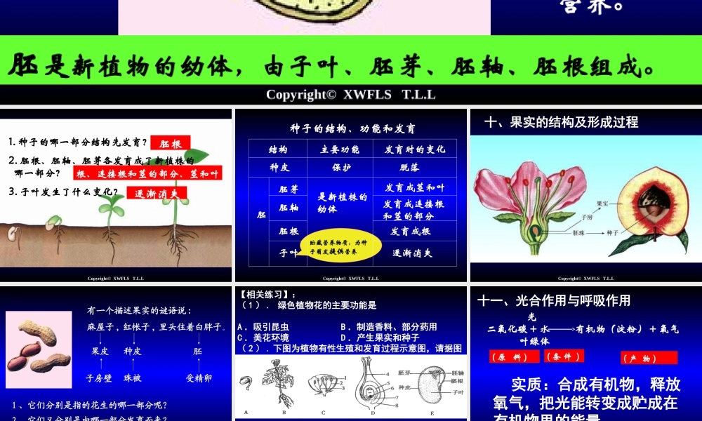 初一生物上册PPT复习课件2