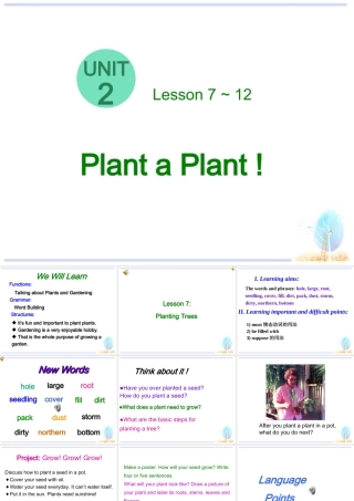 2014-2015冀教版八下英语课件lesson7 (2)