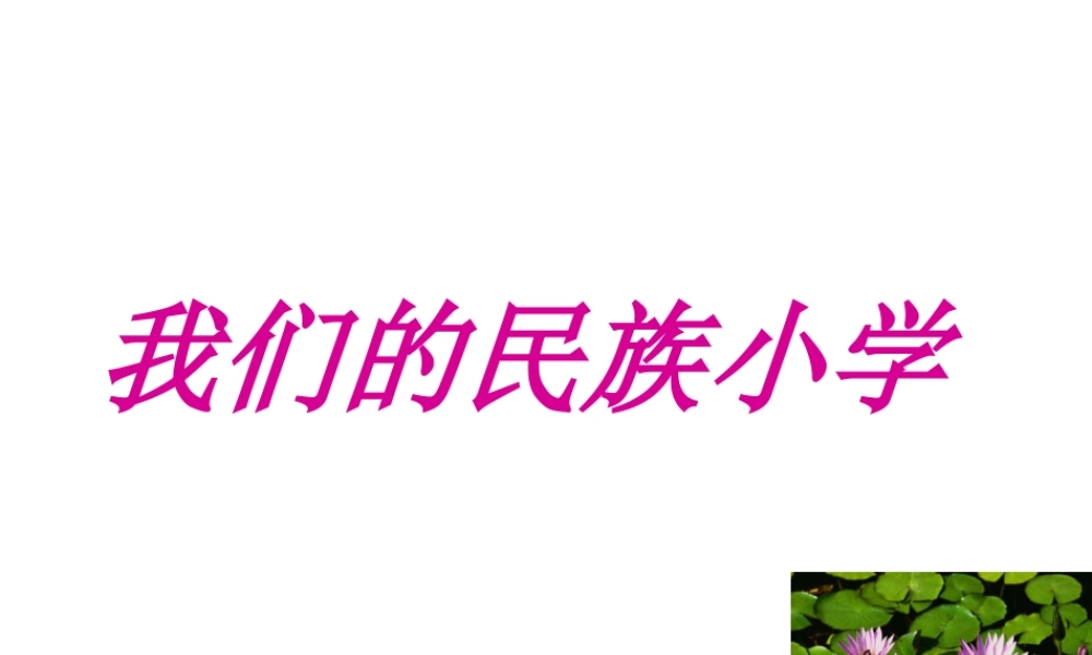 《我们的民族小学》教学课件