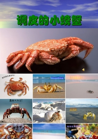 调皮的小螃蟹自制PPT