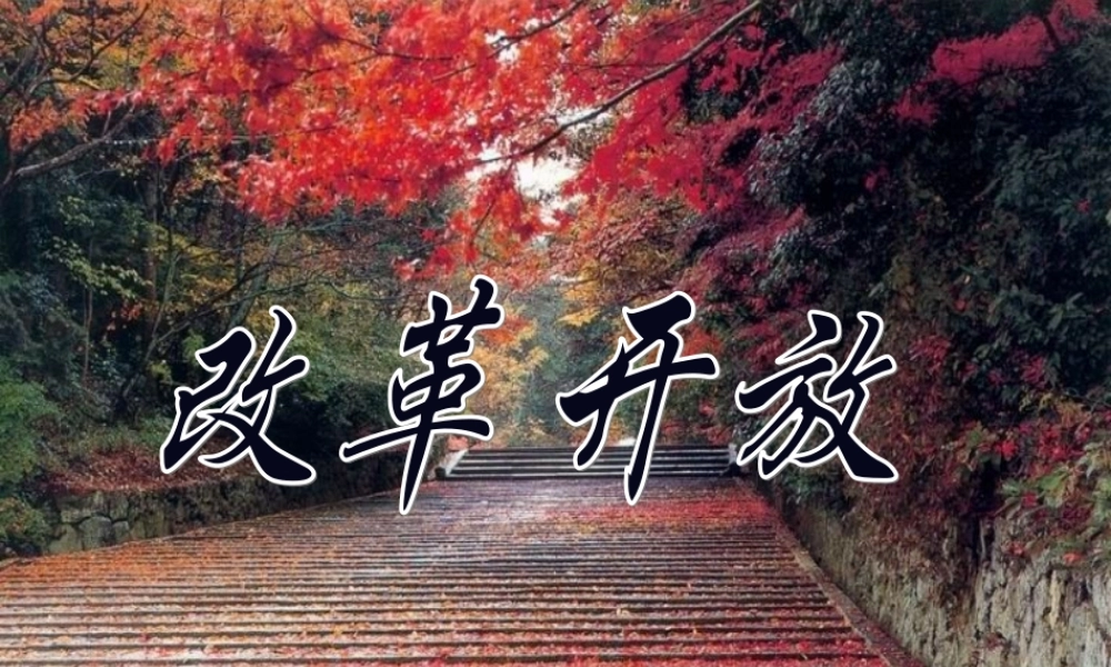 人教-八年级-下册-历史-课件-改革开放