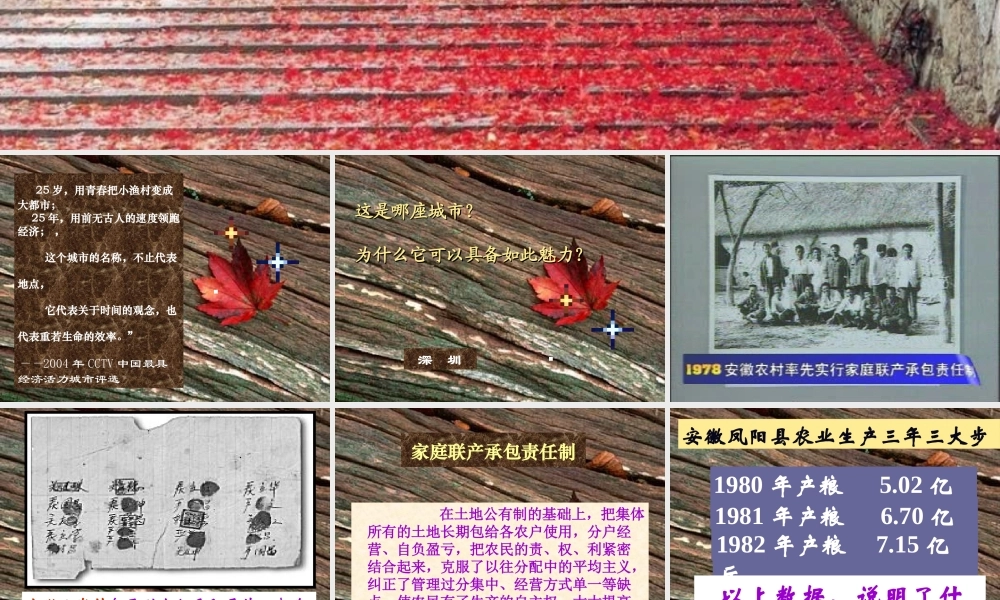 人教-八年级-下册-历史-课件-改革开放