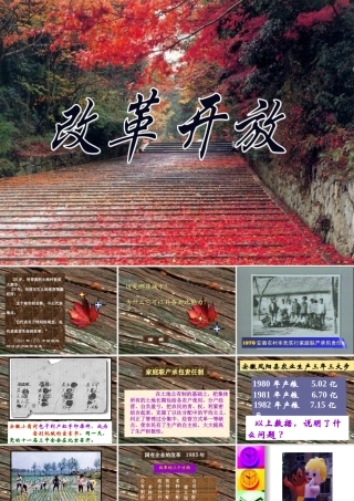 人教-八年级-下册-历史-课件-改革开放