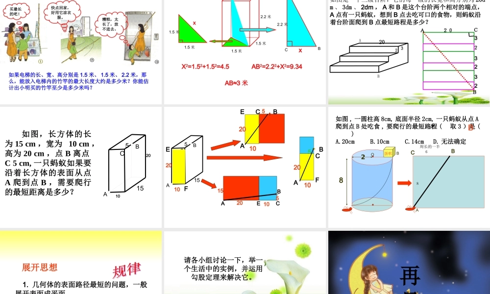 中罗香美晒课PPT勾股定理复习课