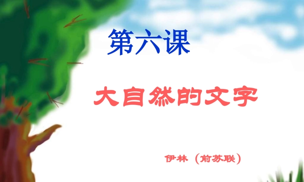 大自然的文字说课