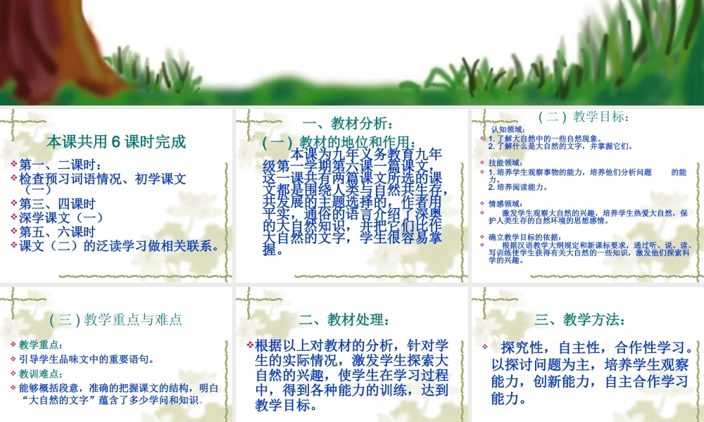 大自然的文字说课