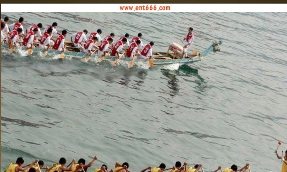 竞争与合作课件