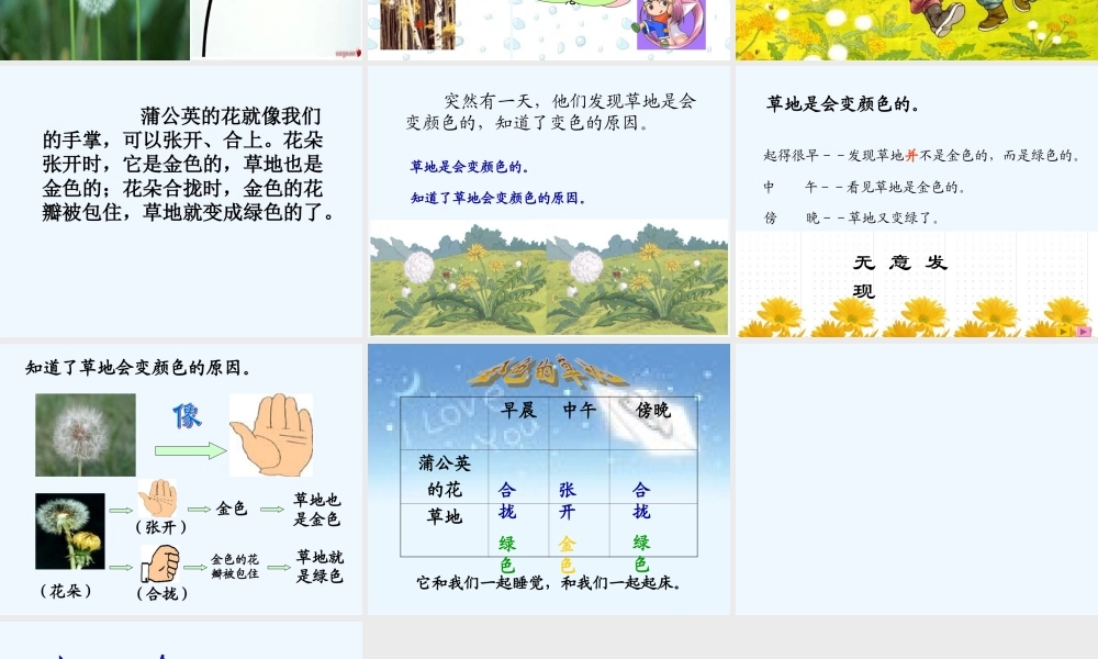 (部编)人教2011课标版一年级上册金色的草地