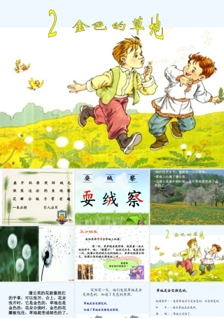 (部编)人教2011课标版一年级上册金色的草地