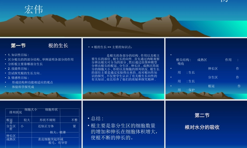 根的吸收与水肥的管理