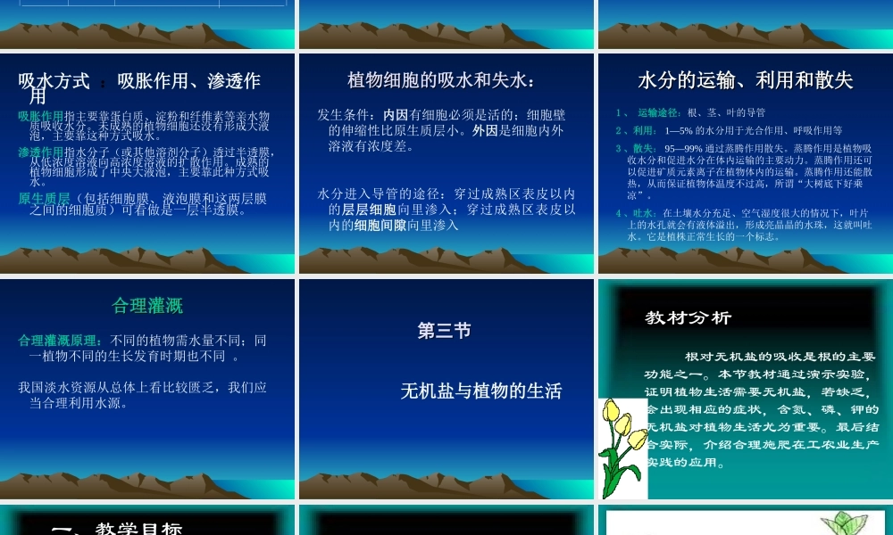 根的吸收与水肥的管理
