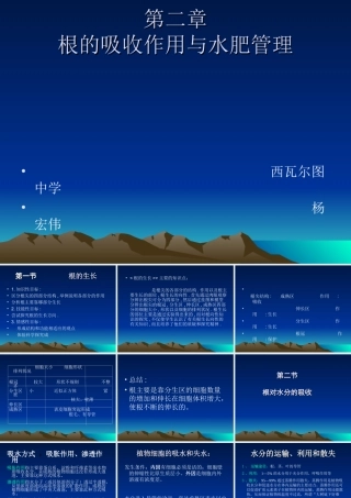 根的吸收与水肥的管理