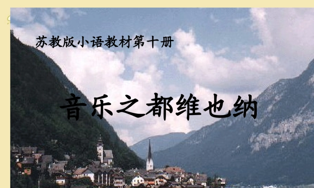 《音乐之都维也纳》课件 (3)