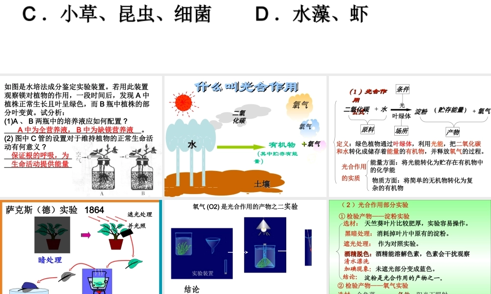 初二生物《光合作用》PPT课件