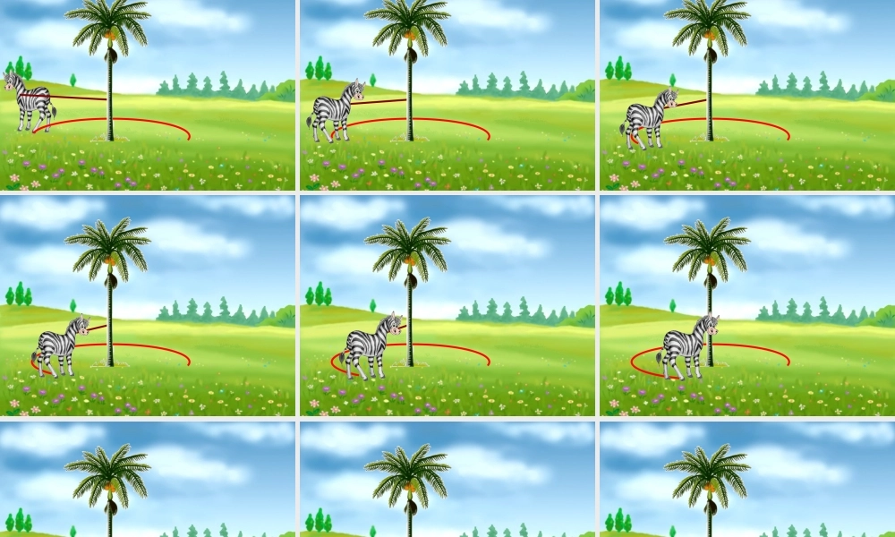 人教版新课标数学六年级上册《圆的面积》课件2