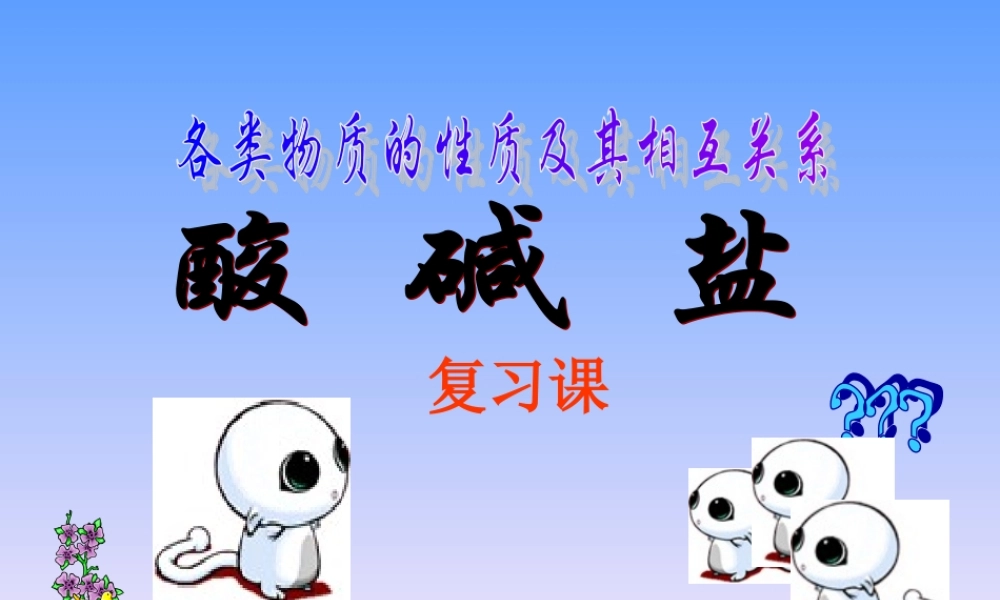 九年级化学酸碱盐复习