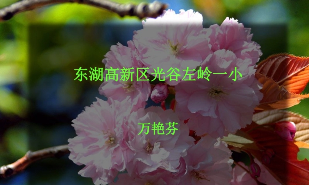 《我身边的人》习作