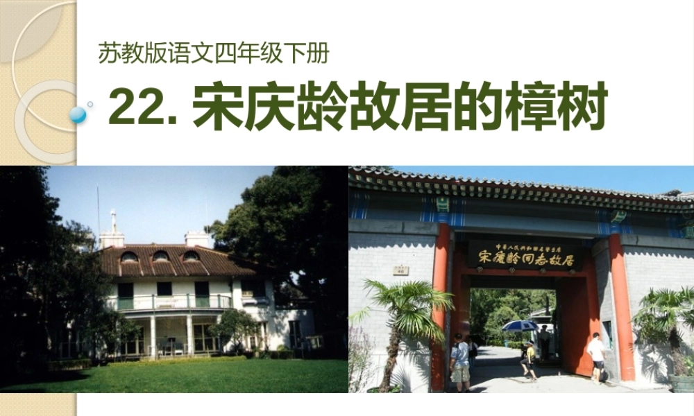 宋庆龄故居的樟树课件
