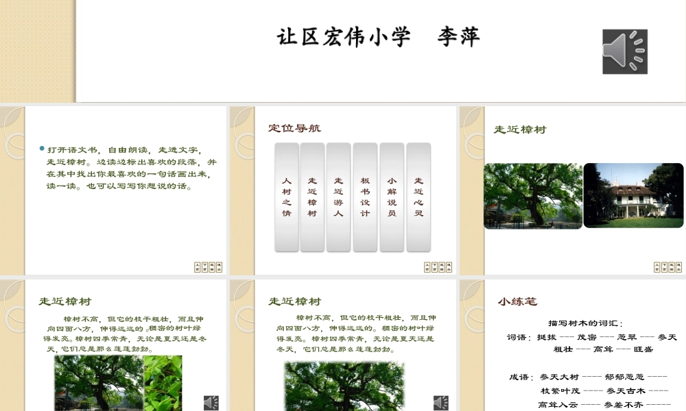 宋庆龄故居的樟树课件