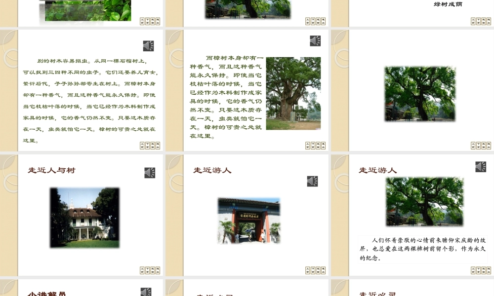 宋庆龄故居的樟树课件