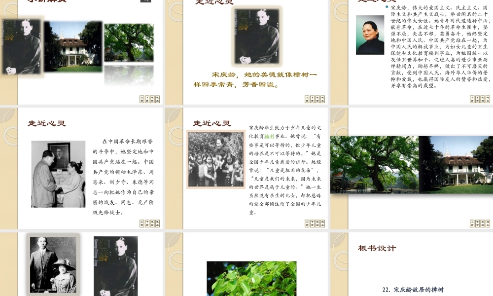 宋庆龄故居的樟树课件