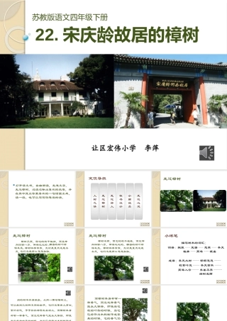 宋庆龄故居的樟树课件