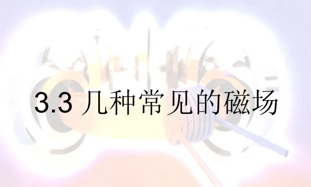 3.3几种常见的磁场课件