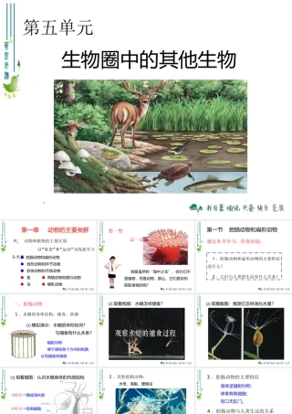 1腔肠动物和扁形动物