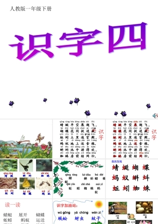 13《识字四》