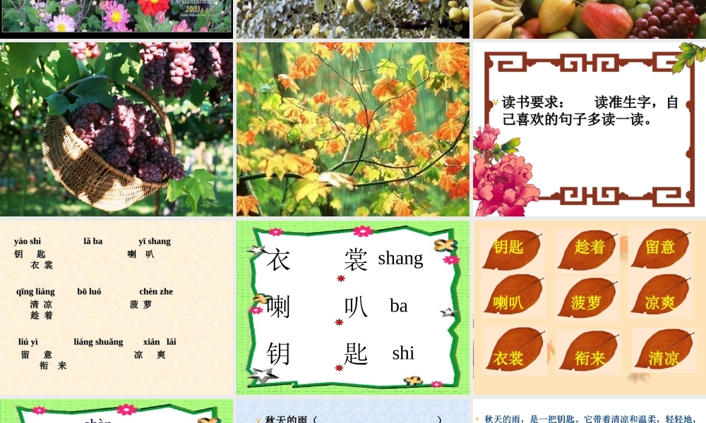 《秋天的雨》教学课件
