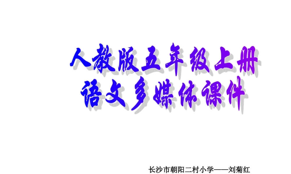 《梅花魂》课件6 (2)