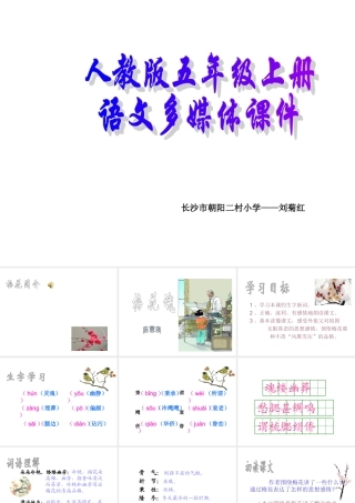 《梅花魂》课件6 (2)