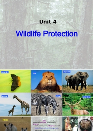 Unnit4