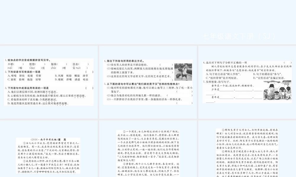 作业课件：8-我们家的男子汉