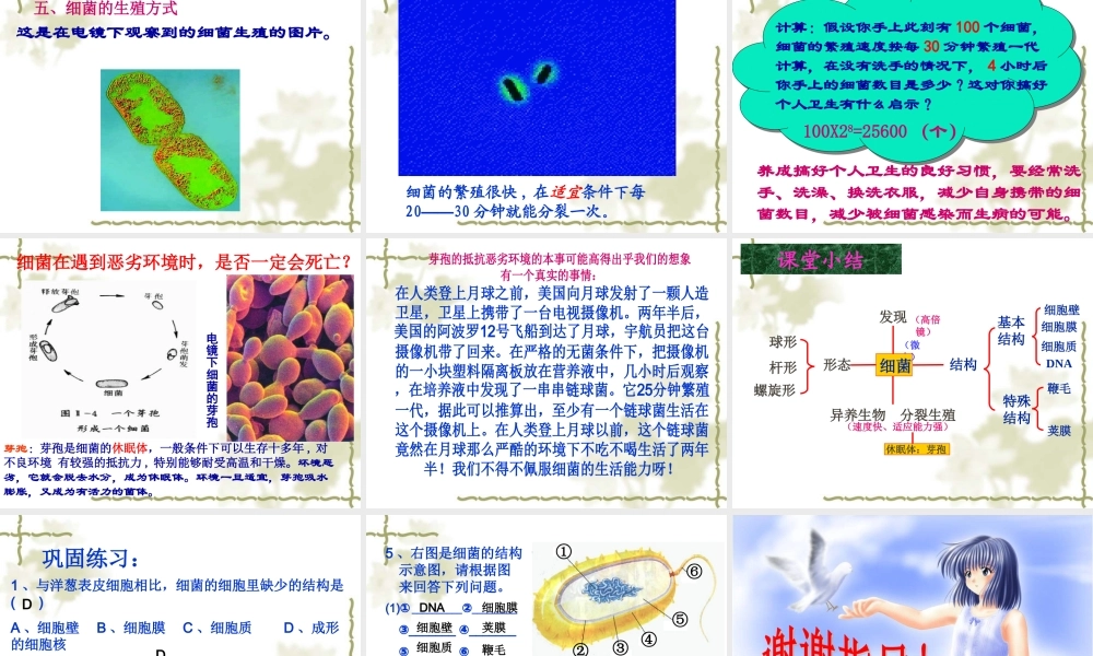 科学技术社会-以菌治虫-(2)