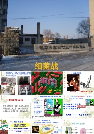 科学技术社会-以菌治虫-(2)