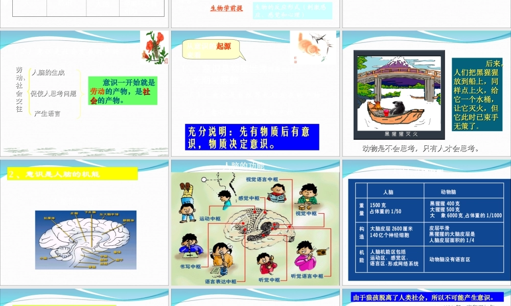 5.1意识的本质课件