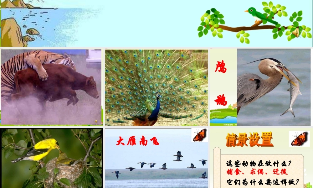 科学·技术·社会-动物行为学家的新装备