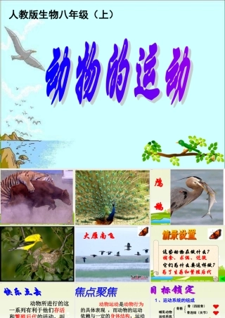 科学·技术·社会-动物行为学家的新装备