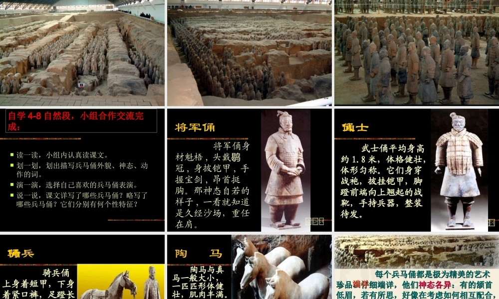 《秦兵马俑》PPT课件(1)-2