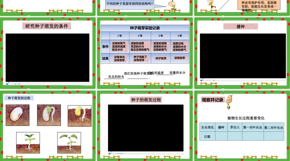 1播撒希望的种子