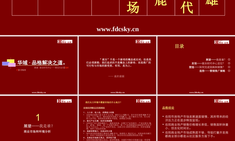 2006年岳阳华域品格营销推广策略